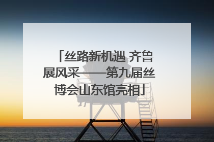 丝路新机遇 齐鲁展风采——第九届丝博会山东馆亮相
