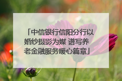 中信银行信阳分行以婚纱摄影为媒 谱写养老金融服务暖心篇章