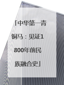 中华第一青铜马：见证1800年前民族融合史