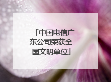 中国电信广东公司荣获全国文明单位