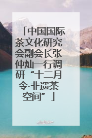 中国国际茶文化研究会副会长张仲灿一行调研“十二月令·非遗茶空间”