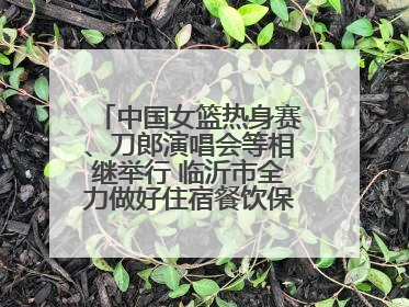 中国女篮热身赛、刀郎演唱会等相继举行 临沂市全力做好住宿餐饮保障工作
