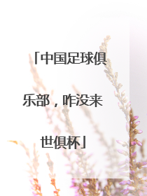 中国足球俱乐部，咋没来世俱杯