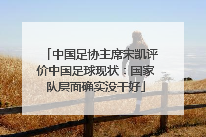 中国足协主席宋凯评价中国足球现状：国家队层面确实没干好