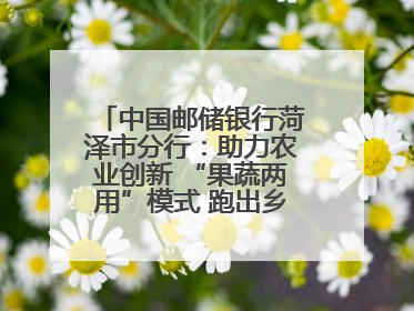 中国邮储银行菏泽市分行：助力农业创新 “果蔬两用”模式 跑出乡村振兴加速度
