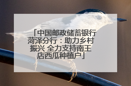 中国邮政储蓄银行菏泽分行：助力乡村振兴 全力支持南王店西瓜种植户
