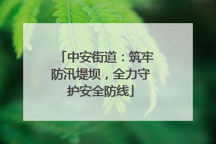 中安街道：筑牢防汛堤坝，全力守护安全防线