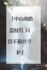 中山南路荔枝红 只赏不摘共守护
