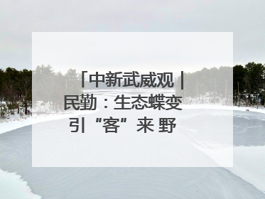 中新武威观｜民勤：生态蝶变引“客”来 野生动物乐逍遥