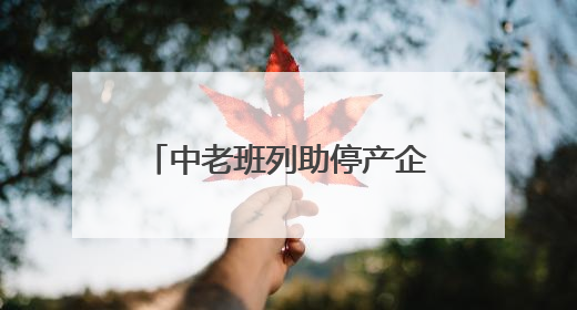 中老班列助停产企业重启 30000吨“四川造”钢铁制品出口老挝