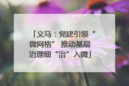 义马：党建引领“微网格” 推动基层治理细“治”入微