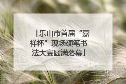 乐山市首届“嘉祥杯”现场硬笔书法大赛圆满落幕