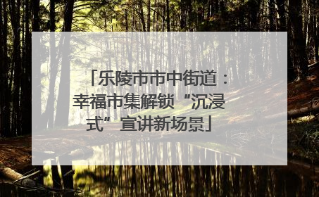 乐陵市市中街道：幸福市集解锁“沉浸式”宣讲新场景