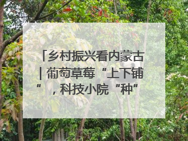 乡村振兴看内蒙古｜葡萄草莓“上下铺”，科技小院“种”出三倍效益