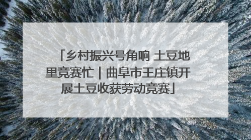乡村振兴号角响 土豆地里竞赛忙｜曲阜市王庄镇开展土豆收获劳动竞赛