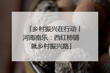 乡村振兴在行动丨河南南乐：西红柿铺就乡村振兴路