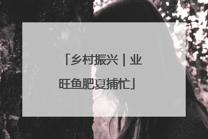 乡村振兴｜业旺鱼肥夏捕忙
