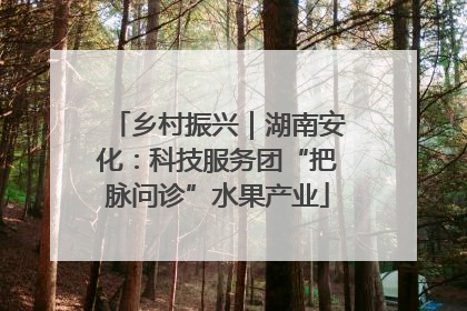 乡村振兴｜湖南安化：科技服务团“把脉问诊”水果产业