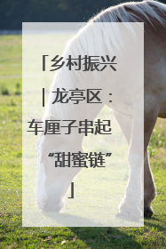 乡村振兴｜龙亭区：车厘子串起“甜蜜链”