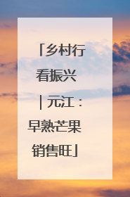 乡村行 看振兴｜元江：早熟芒果销售旺