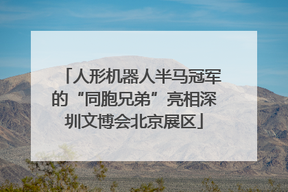 人形机器人半马冠军的“同胞兄弟”亮相深圳文博会北京展区