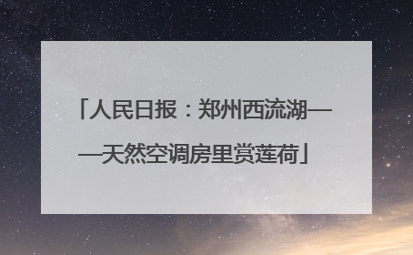 人民日报：郑州西流湖——天然空调房里赏莲荷