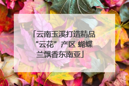 云南玉溪打造精品“云花”产区 蝴蝶兰飘香东南亚
