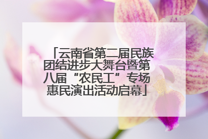云南省第二届民族团结进步大舞台暨第八届“农民工”专场惠民演出活动启幕