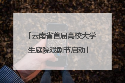 云南省首届高校大学生庭院戏剧节启动