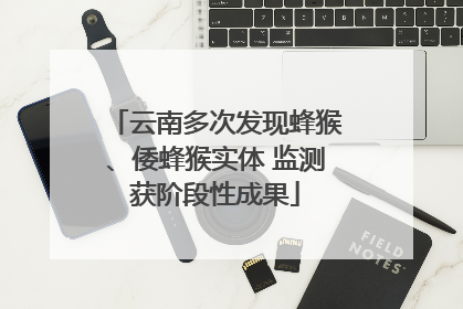 云南多次发现蜂猴、倭蜂猴实体 监测获阶段性成果