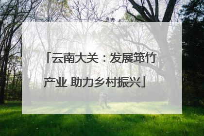 云南大关：发展筇竹产业 助力乡村振兴