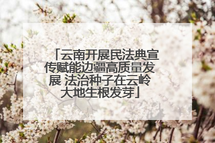 云南开展民法典宣传赋能边疆高质量发展 法治种子在云岭大地生根发芽