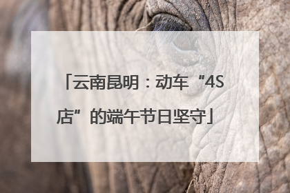 云南昆明：动车“4S店”的端午节日坚守