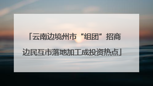 云南边境州市“组团”招商 边民互市落地加工成投资热点