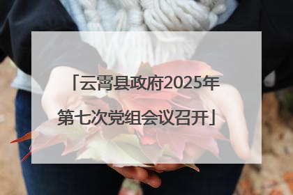 云霄县政府2025年第七次党组会议召开