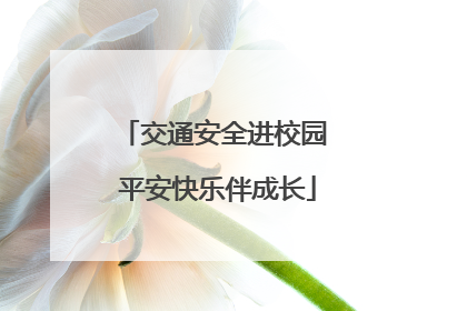 交通安全进校园 平安快乐伴成长