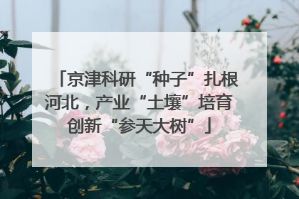 京津科研“种子”扎根河北，产业“土壤”培育创新“参天大树”