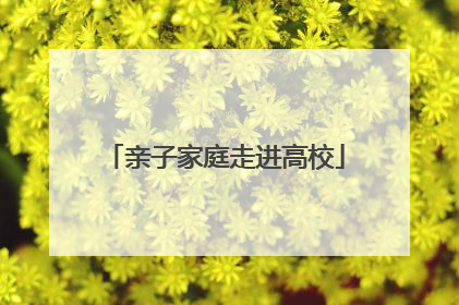 亲子家庭走进高校