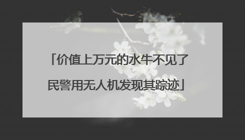 价值上万元的水牛不见了 民警用无人机发现其踪迹