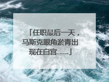 任职最后一天，马斯克眼角淤青出现在白宫……