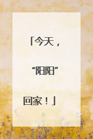 今天，“阳阳”回家！