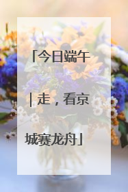 今日端午｜走，看京城赛龙舟