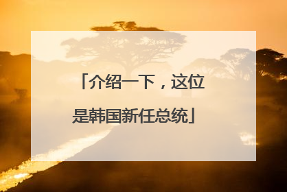 介绍一下，这位是韩国新任总统