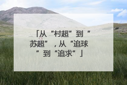 从“村超”到“苏超”，从“追球”到“追求”
