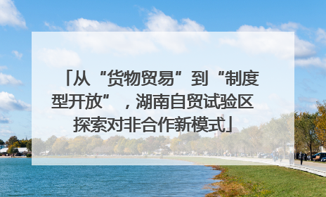 从“货物贸易”到“制度型开放”，湖南自贸试验区探索对非合作新模式