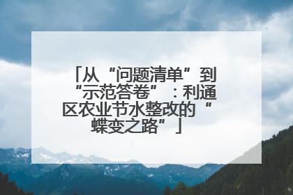 从“问题清单”到“示范答卷”：利通区农业节水整改的“蝶变之路”