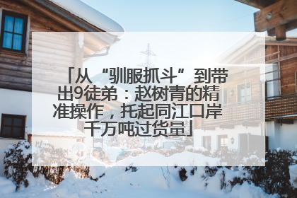 从“驯服抓斗”到带出9徒弟：赵树青的精准操作，托起同江口岸千万吨过货量