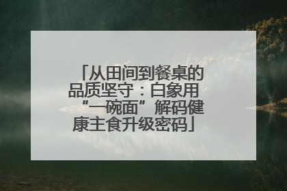 从田间到餐桌的品质坚守：白象用“一碗面”解码健康主食升级密码