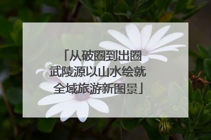 从破圈到出圈 武陵源以山水绘就全域旅游新图景