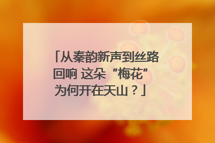 从秦韵新声到丝路回响 这朵“梅花”为何开在天山？